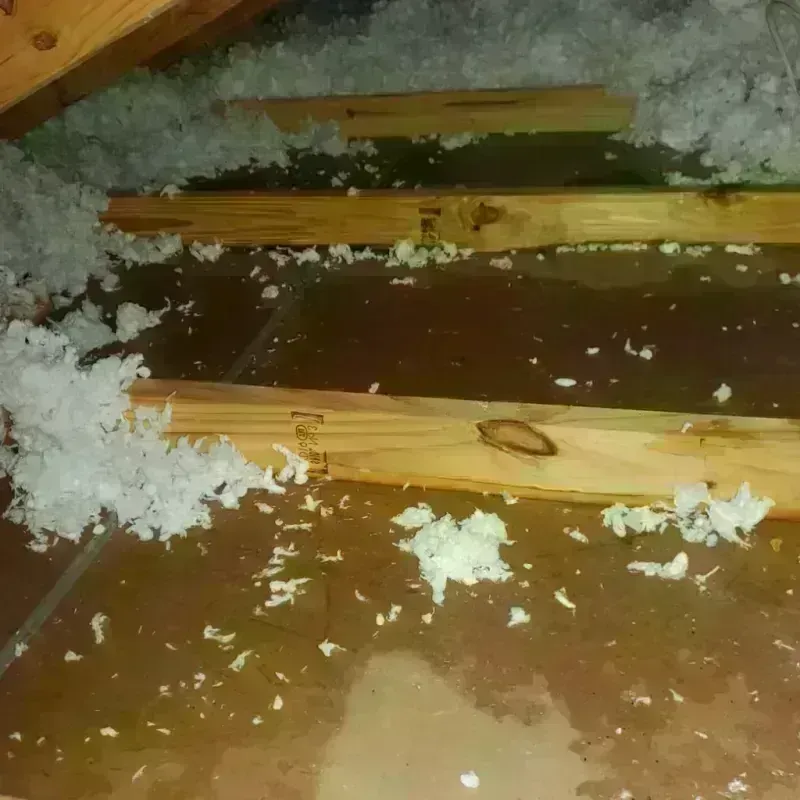 Attic Water Damage in Livingston County, IL