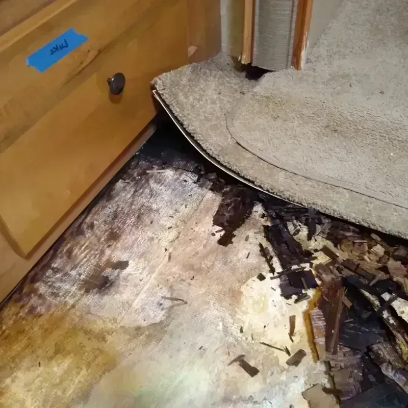 Wood Floor Water Damage in Livingston County, IL